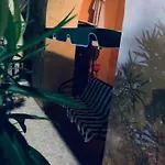 아파트 La Terrazza Sul Golfo